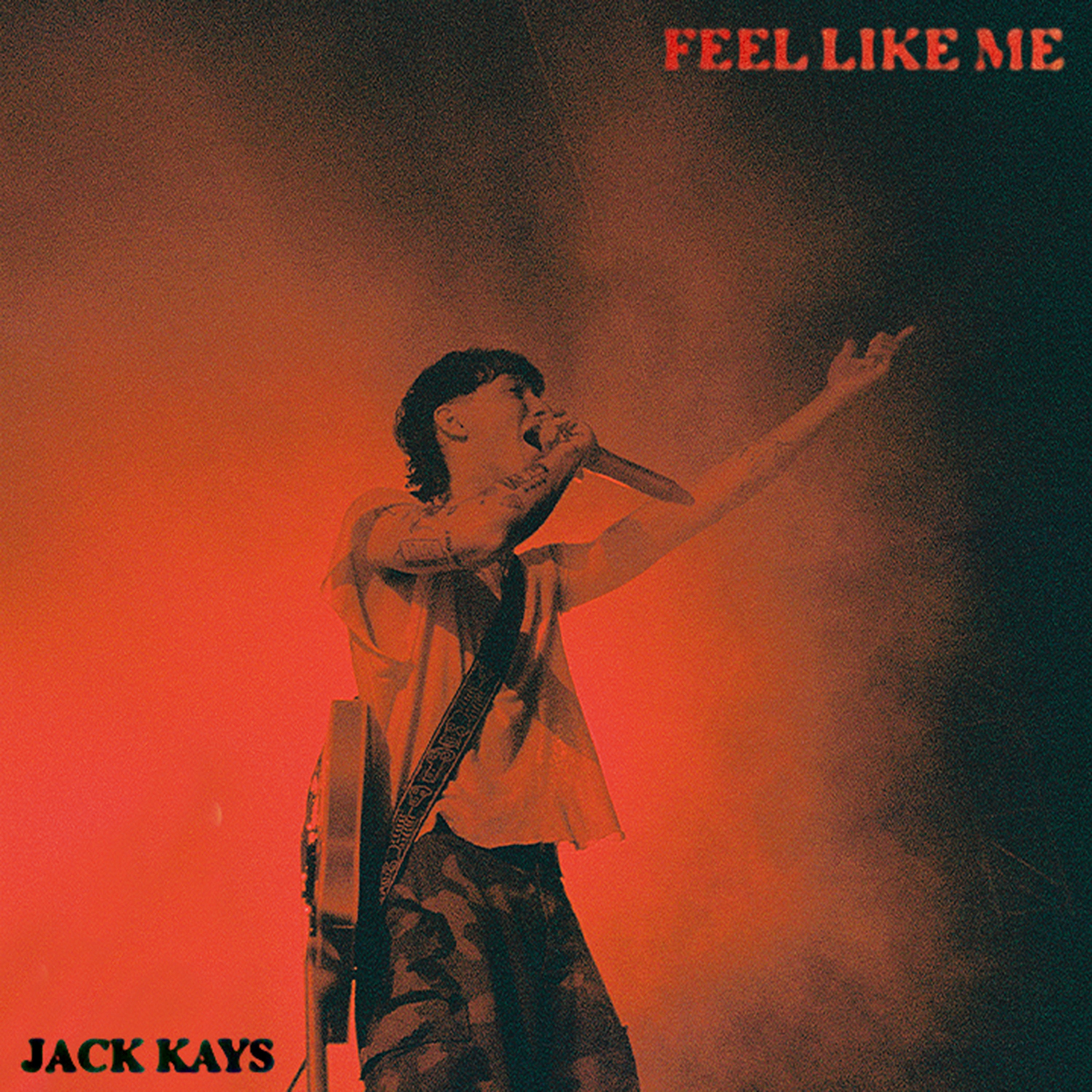 Feel Like Me - Single album cover