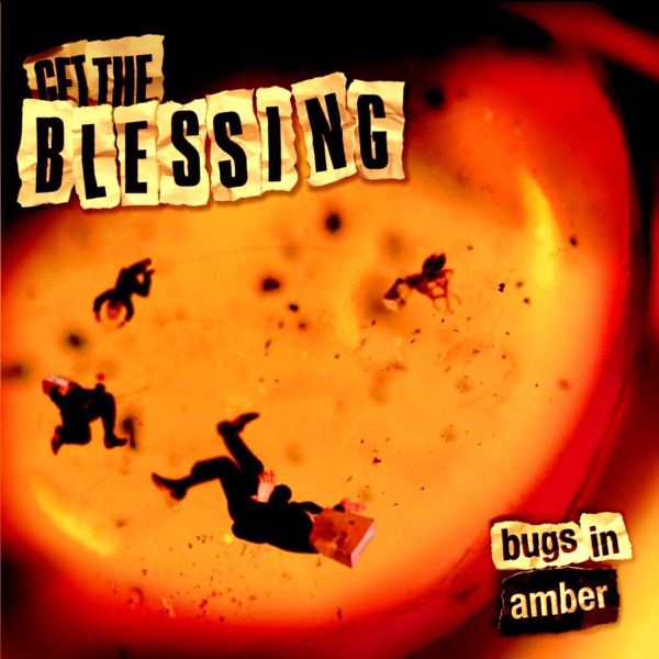 Bugs in Amber album cover