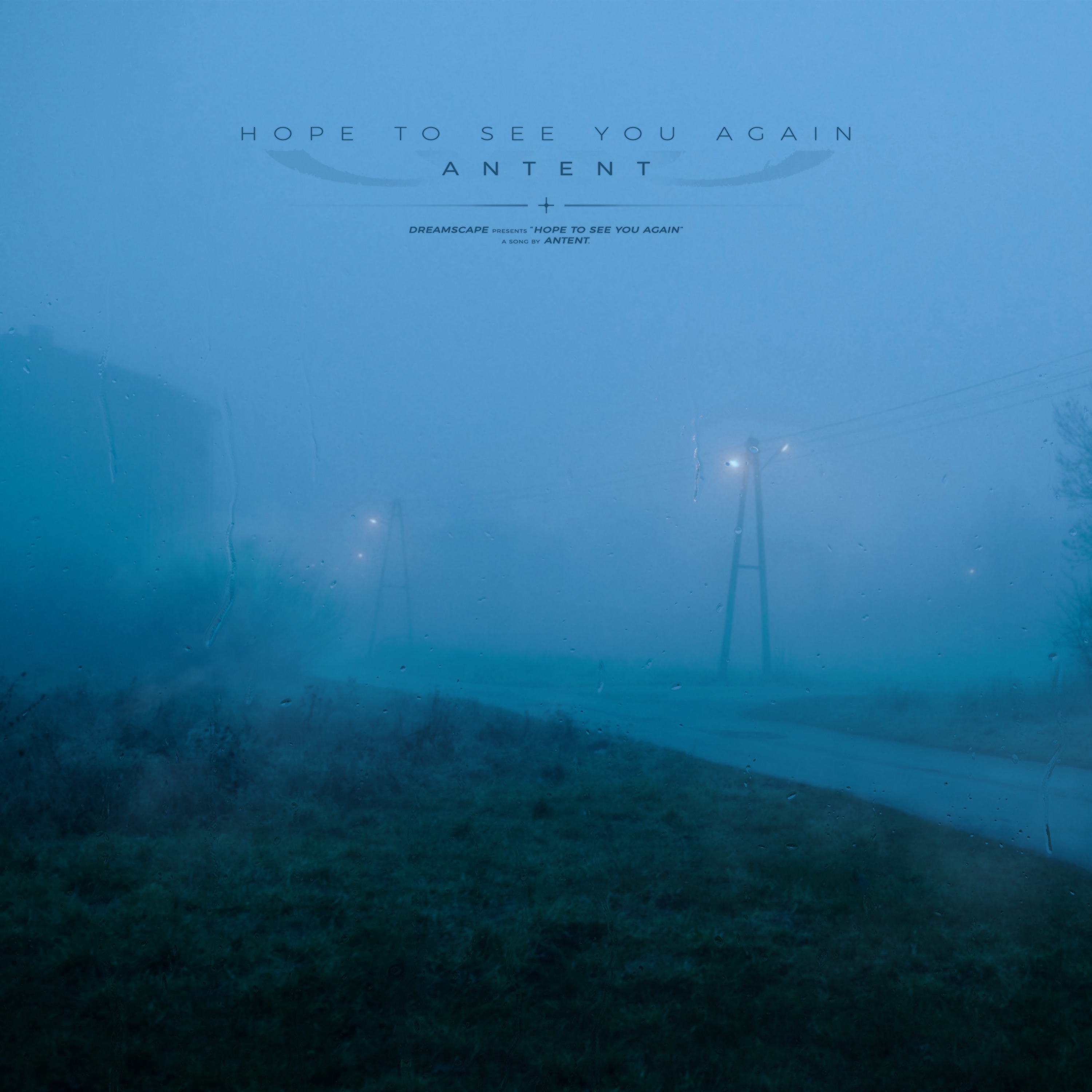 hope to see you again (Remixes) - Single album cover