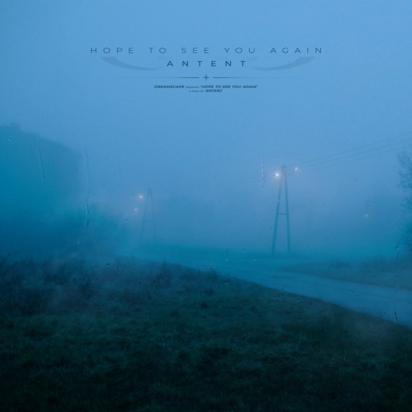 hope to see you again (Remixes) - Single album cover