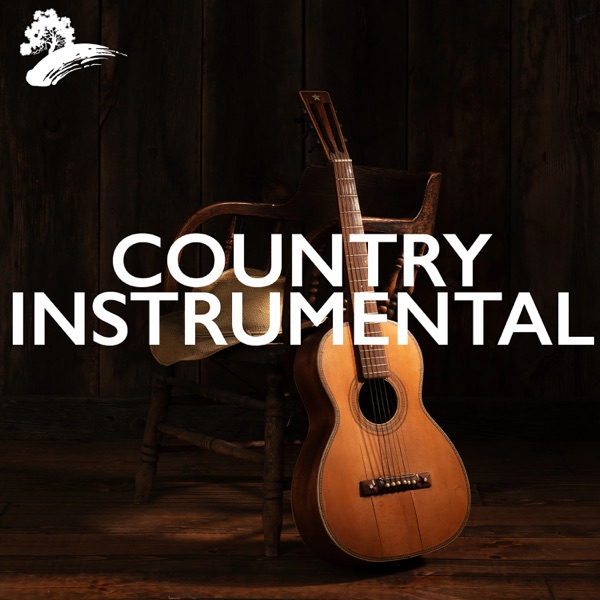 Instrumental Country Music album cover