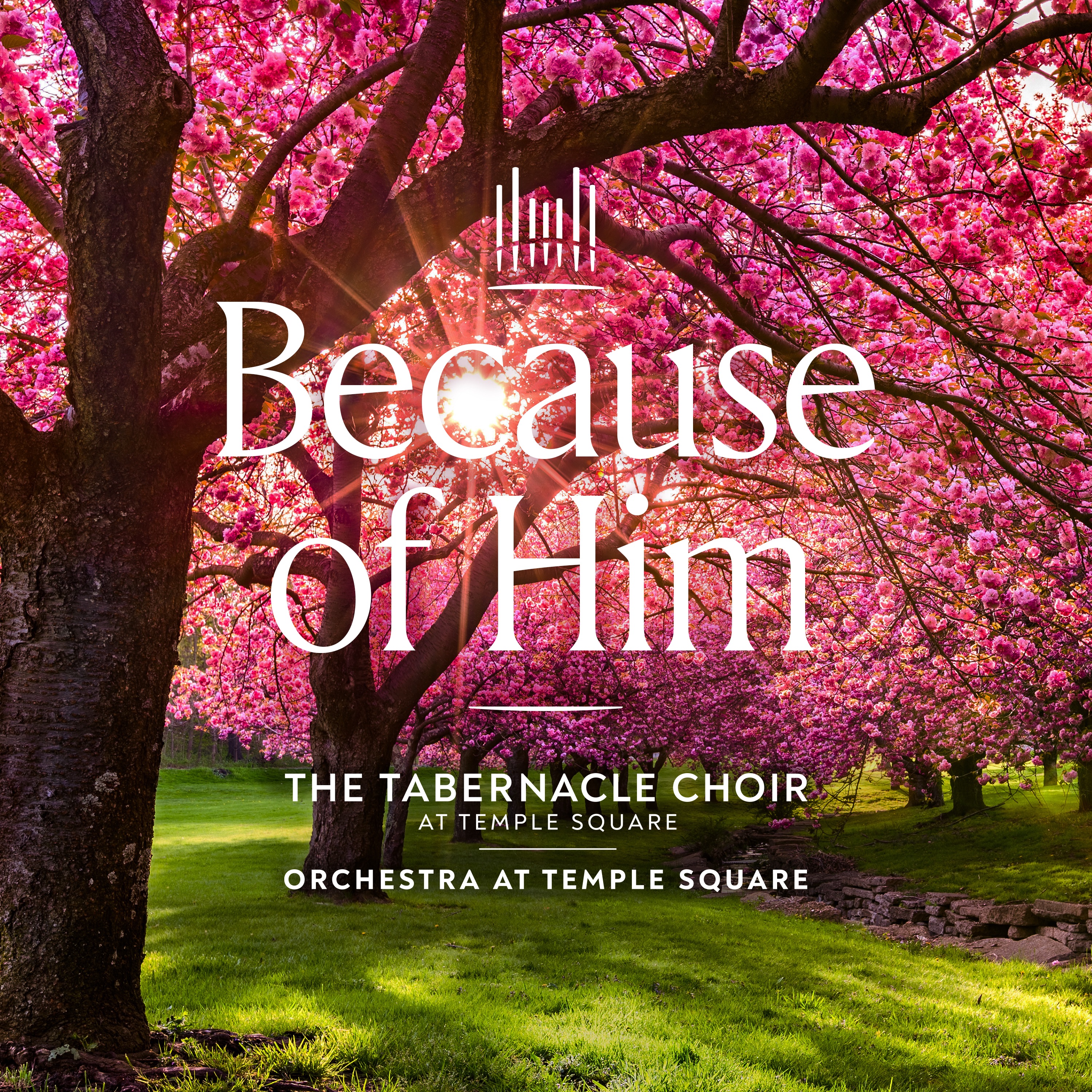 Mack Wilberg: Because of Him - Single album cover