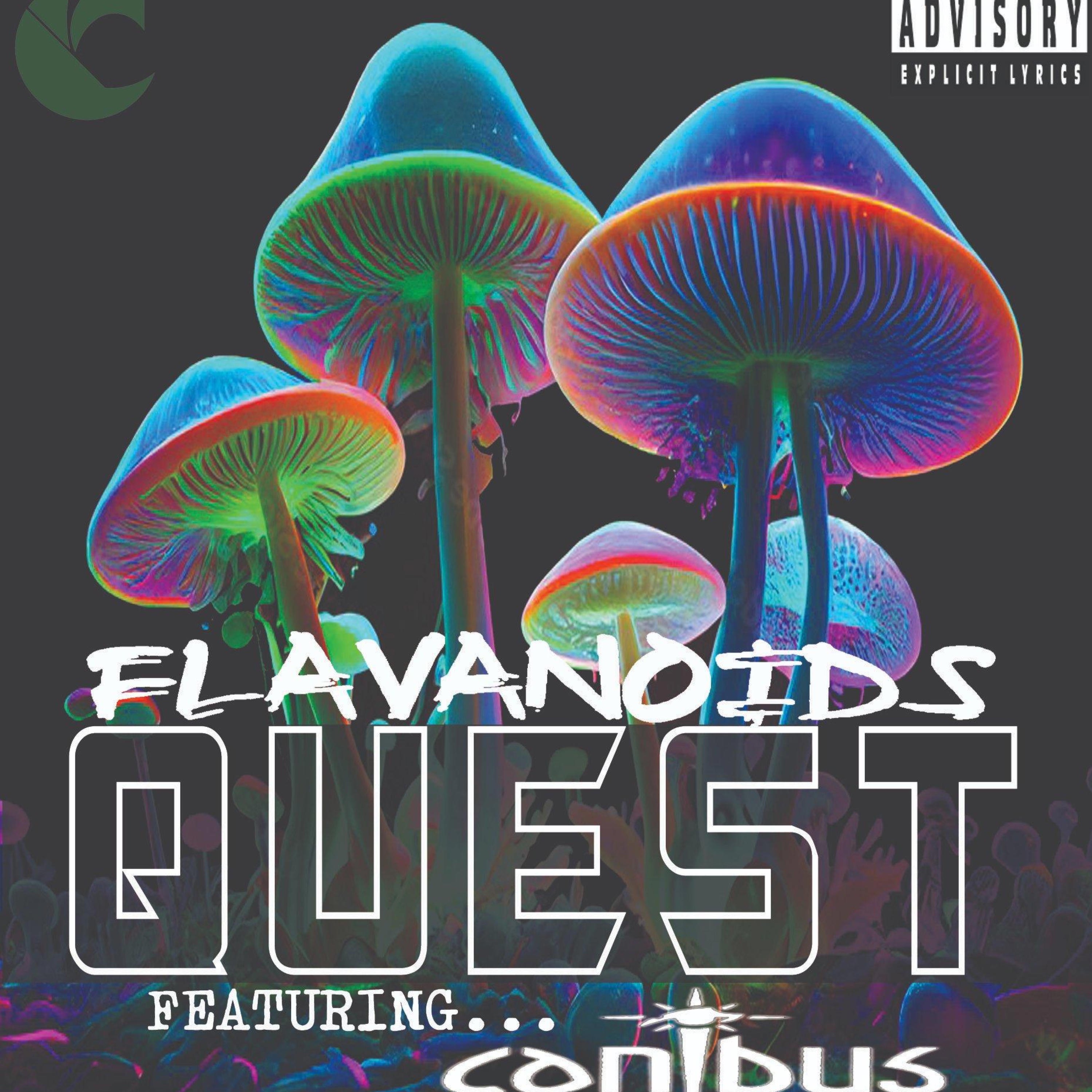 Quest (feat. Canibus) - Single album cover