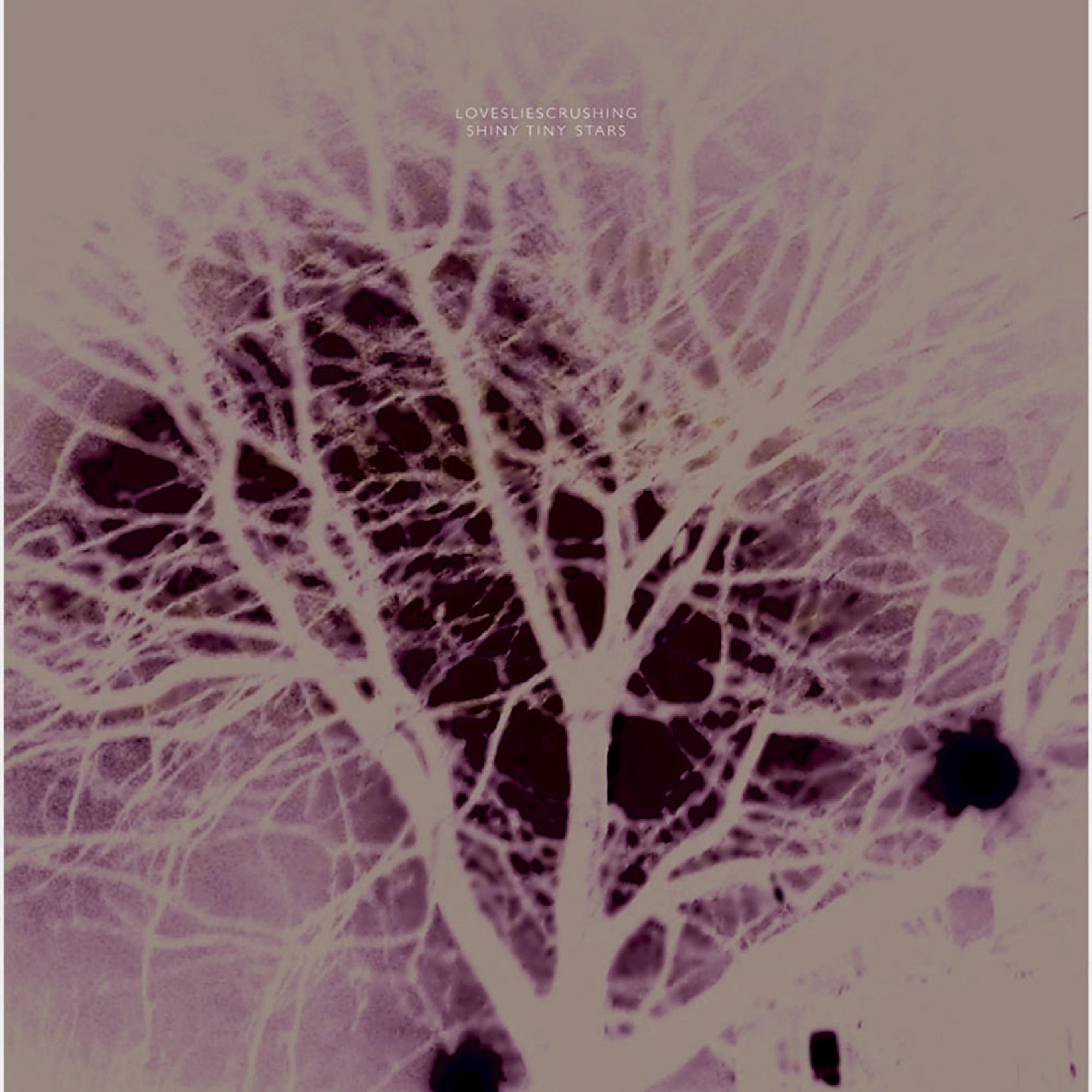 Shiny Tiny Stars album cover