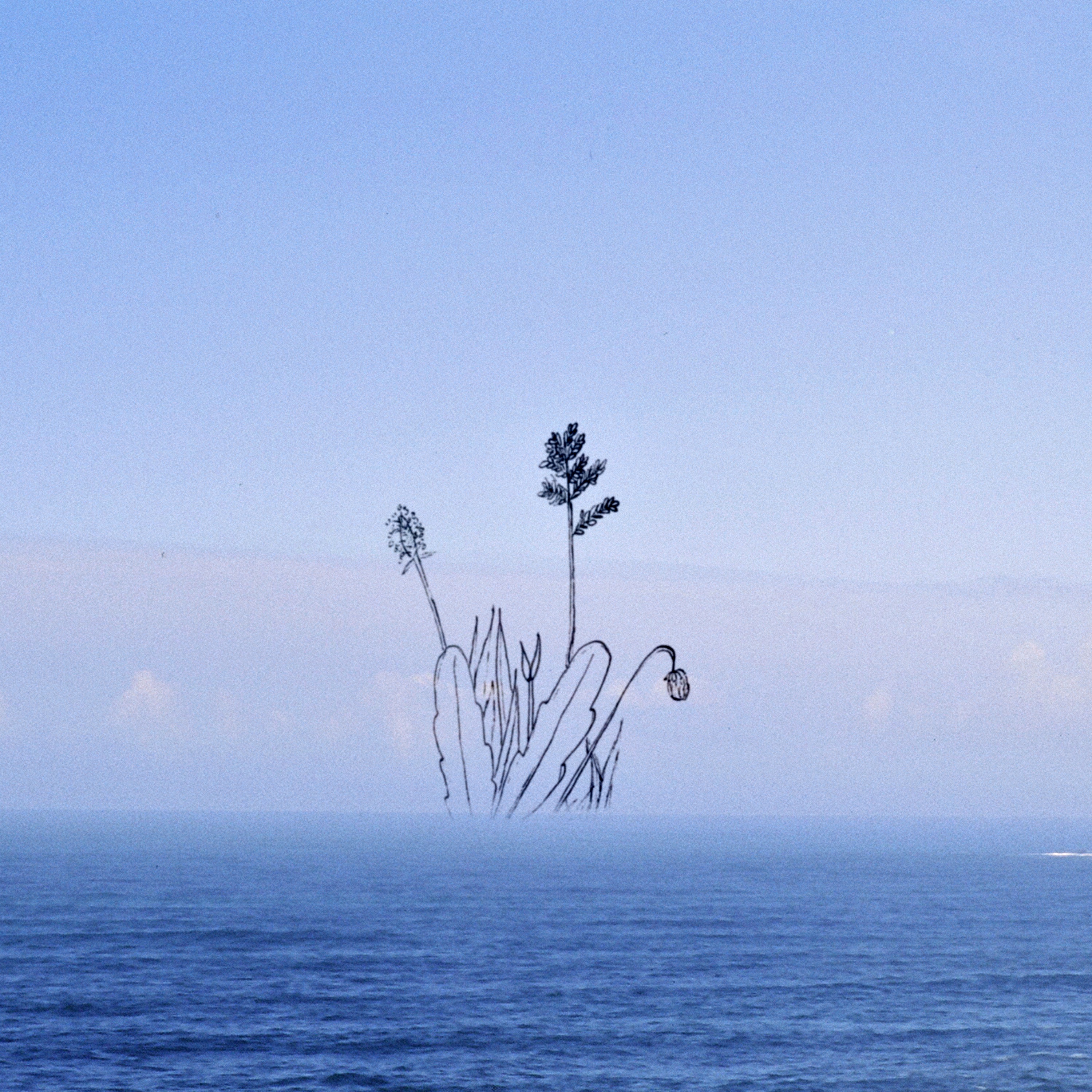 Wander Into album cover