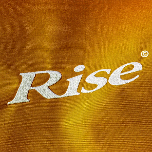 RISE (feat. Benny Sings) [Remix] - Single album cover
