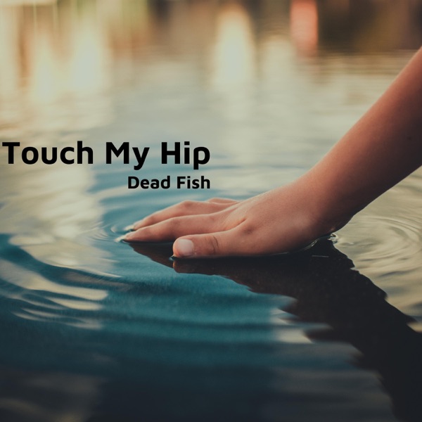 Touch My Hip - Single album cover