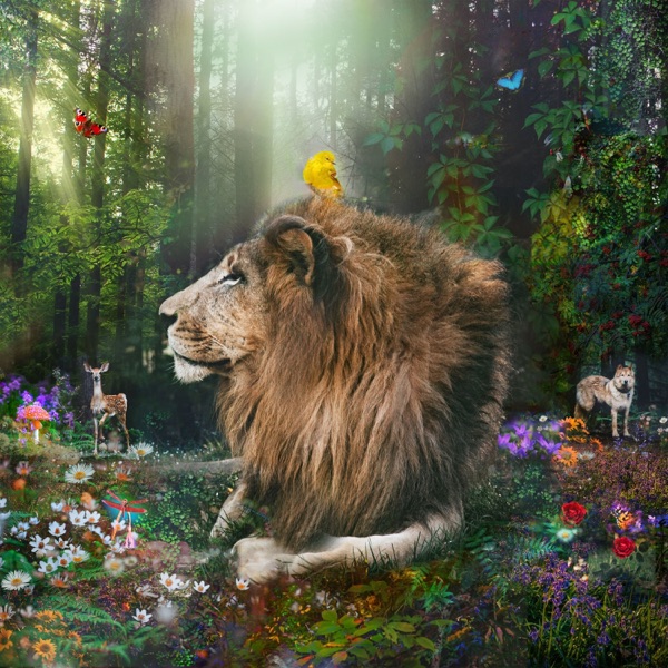 NYC Stories album cover