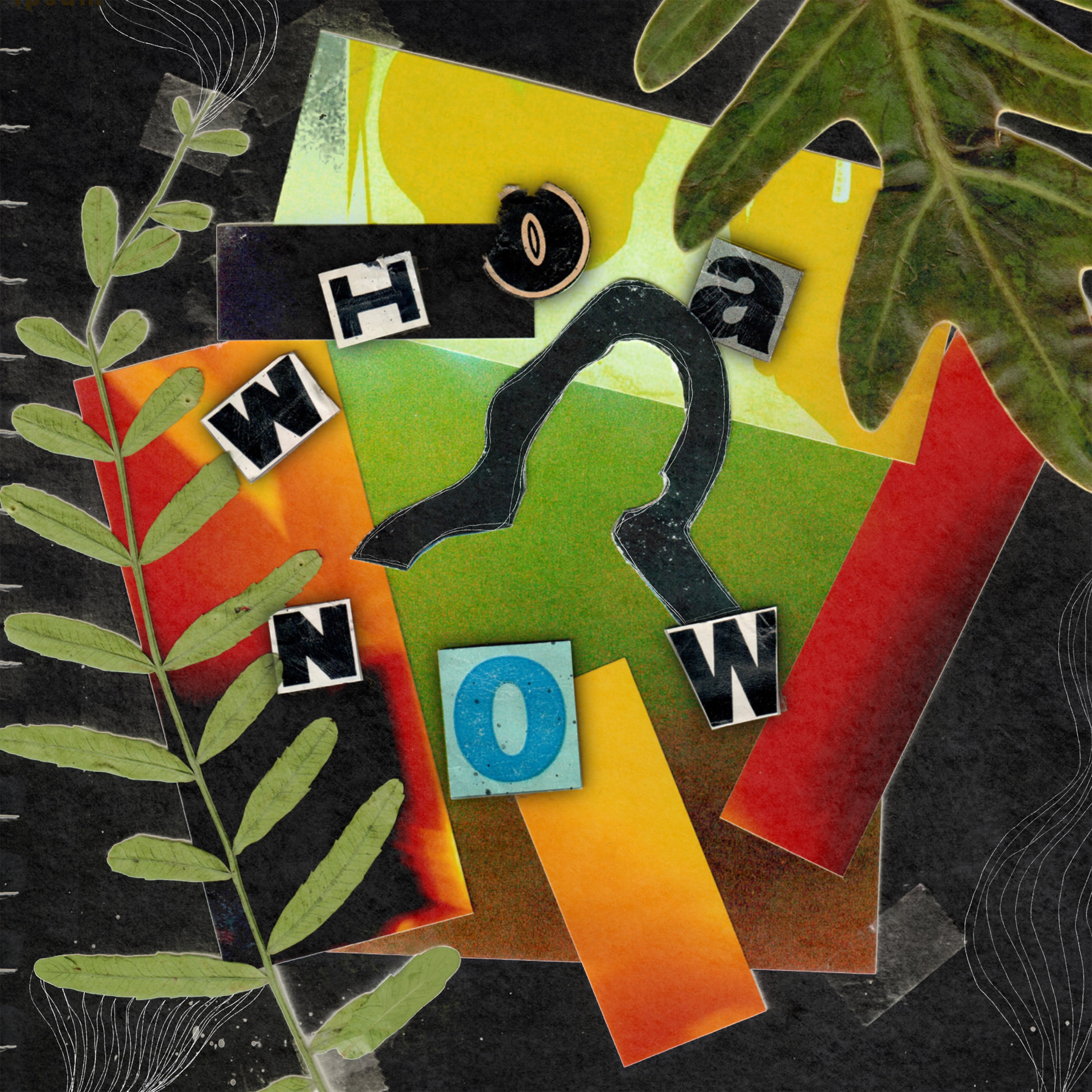 Whoa Now - Single album cover