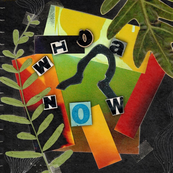 Whoa Now - Single album cover