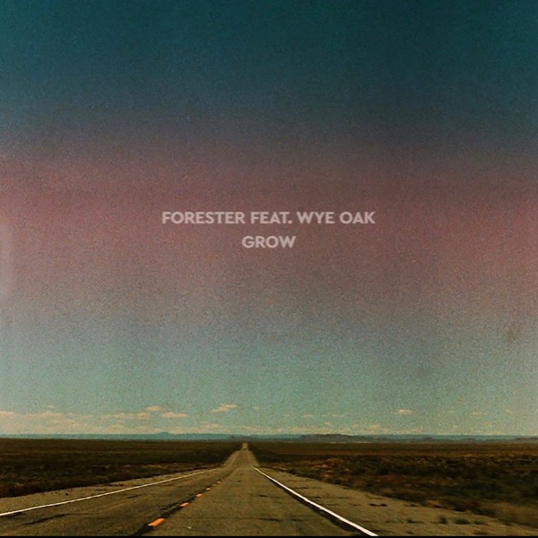 Grow (feat. Wye Oak) - Single album cover