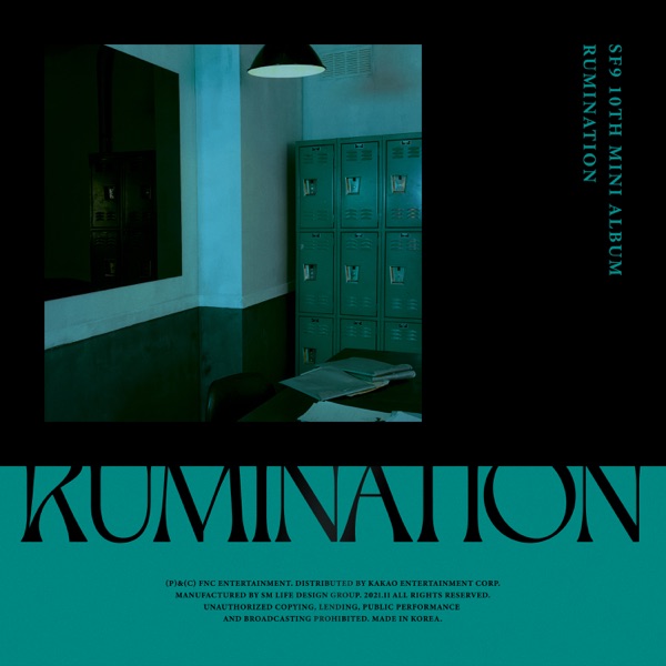 RUMINATION album cover
