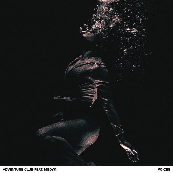 Voices - Single album cover