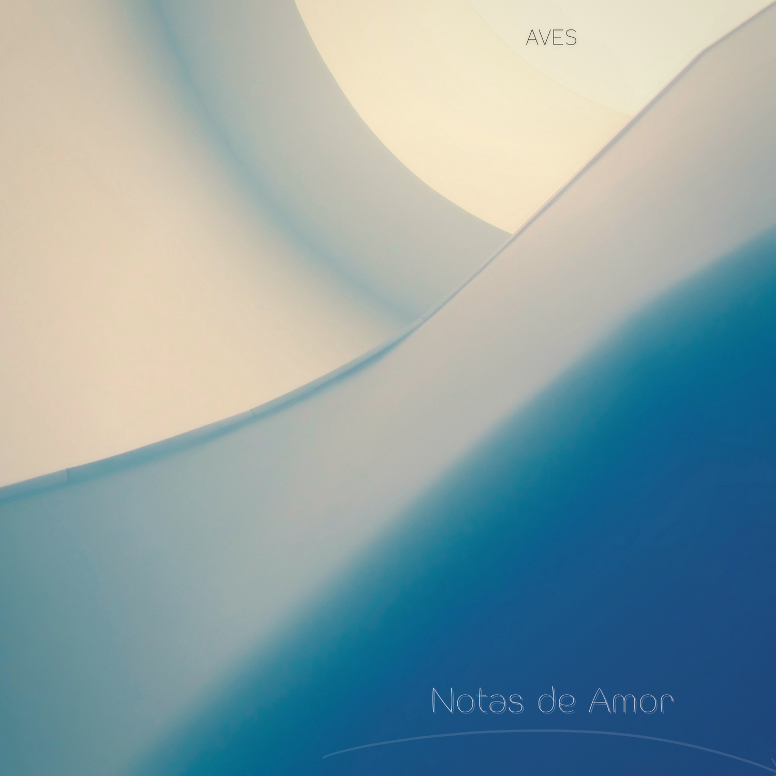 Notas de Amor - Single album cover