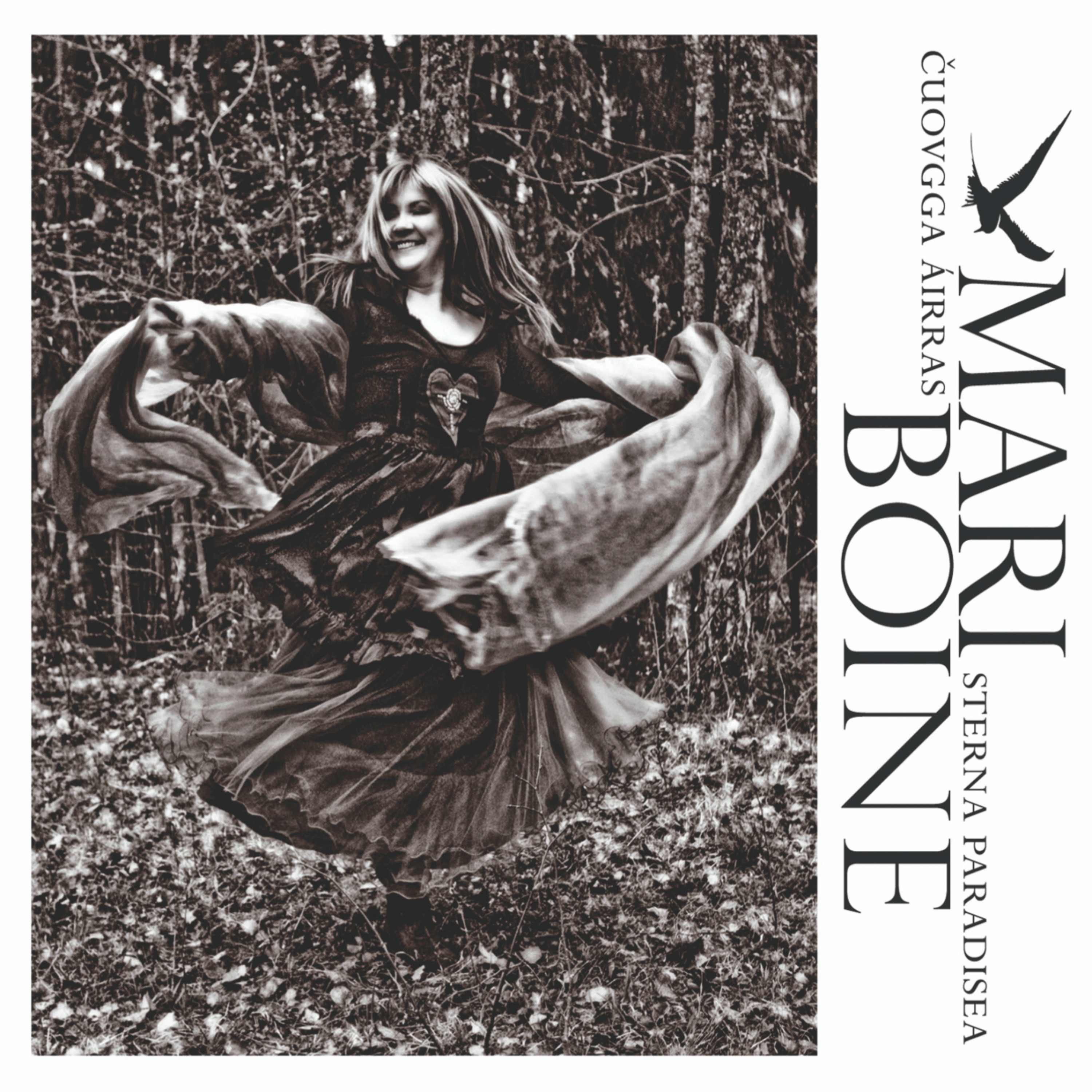 Čuovgga Áirras - Sterna Paradisea album cover