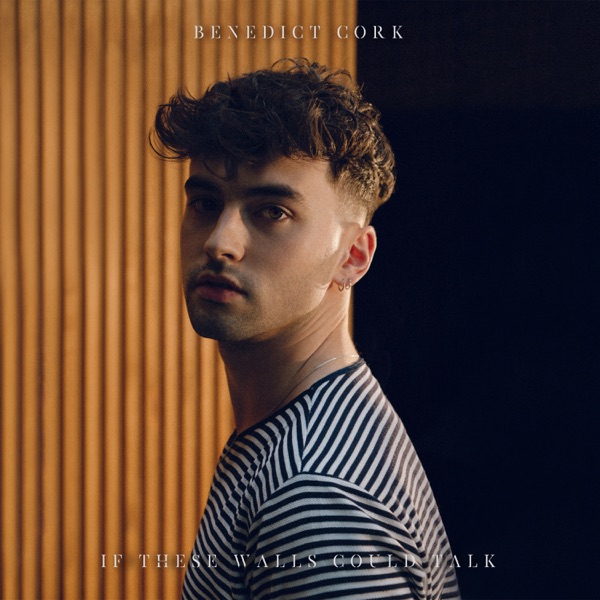 If These Walls Could Talk - Single album cover