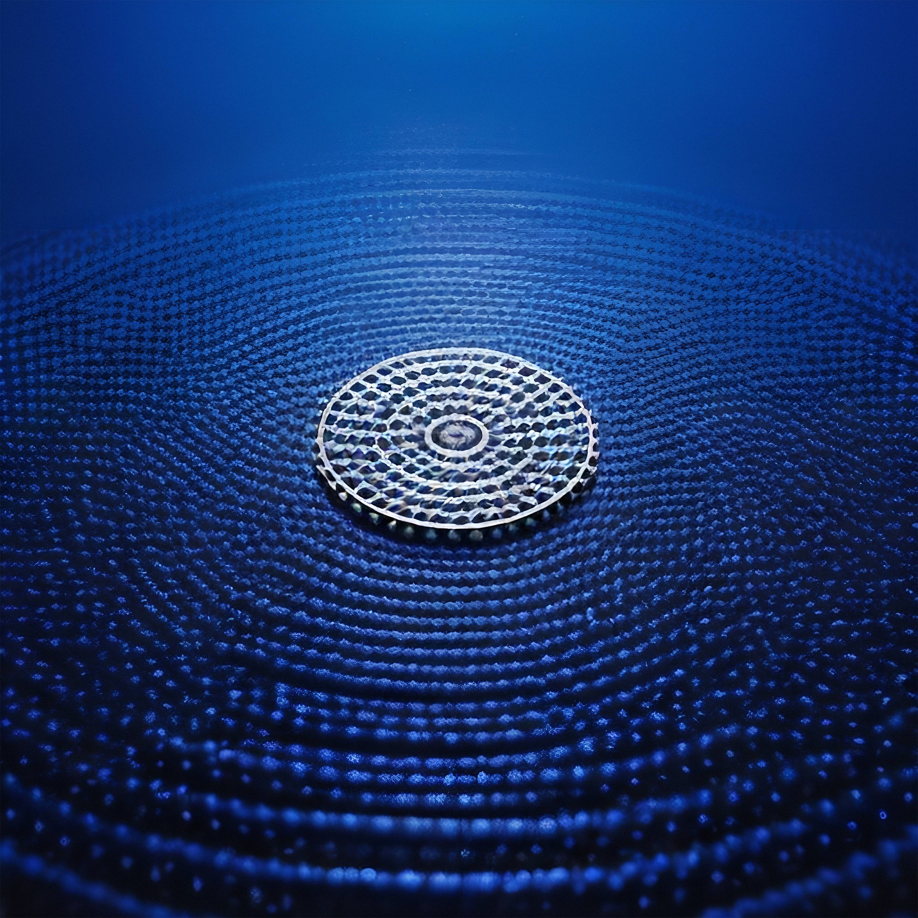 Ковры (Vegan Tha Stallion Remix) - Single album cover