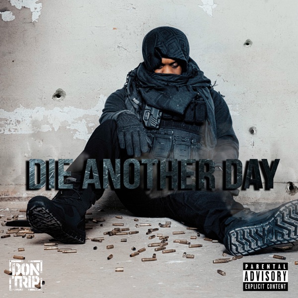 Die Another Day album cover