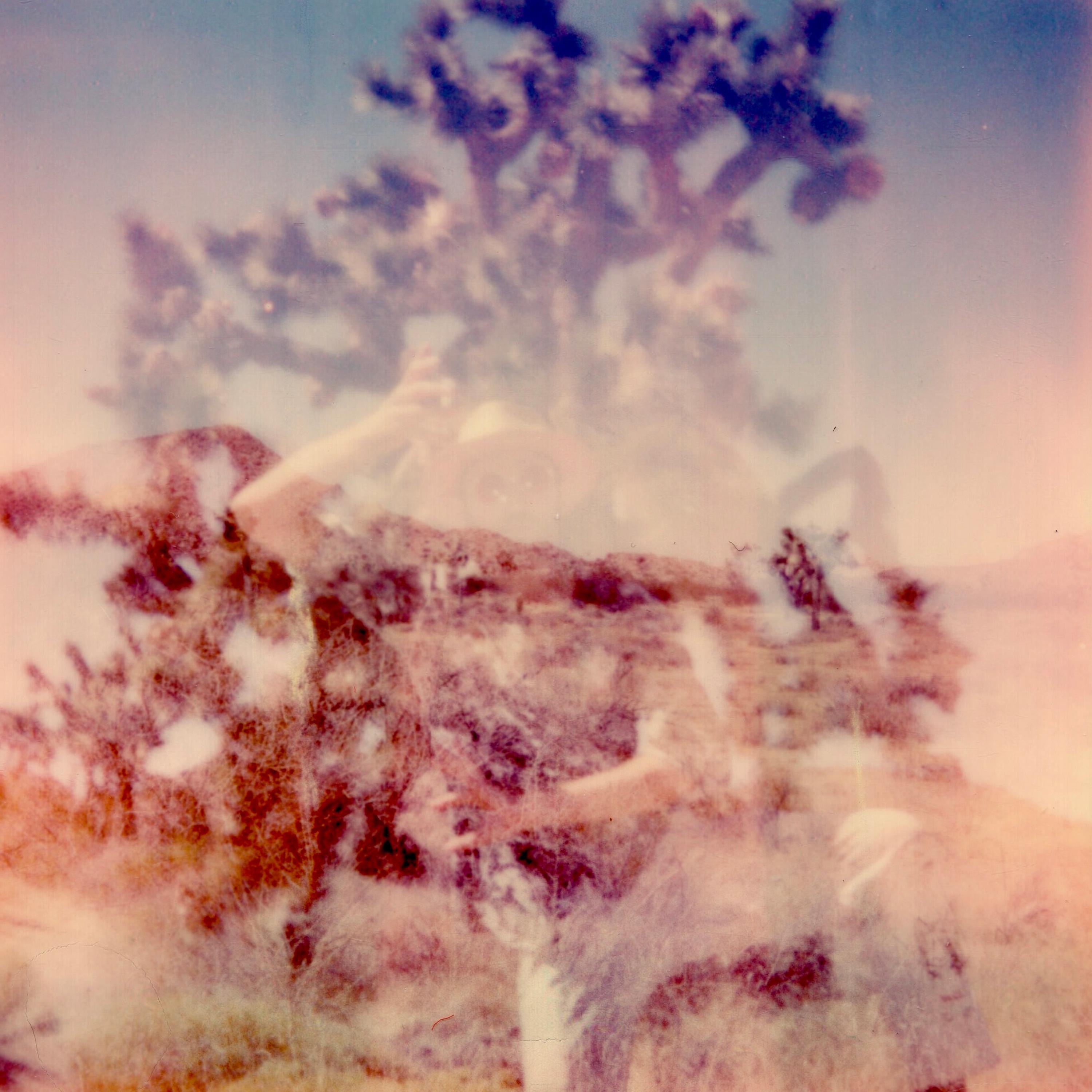 Psychedelics album cover