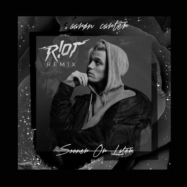 Sooner or Later (R!OT Remix) - Single album cover
