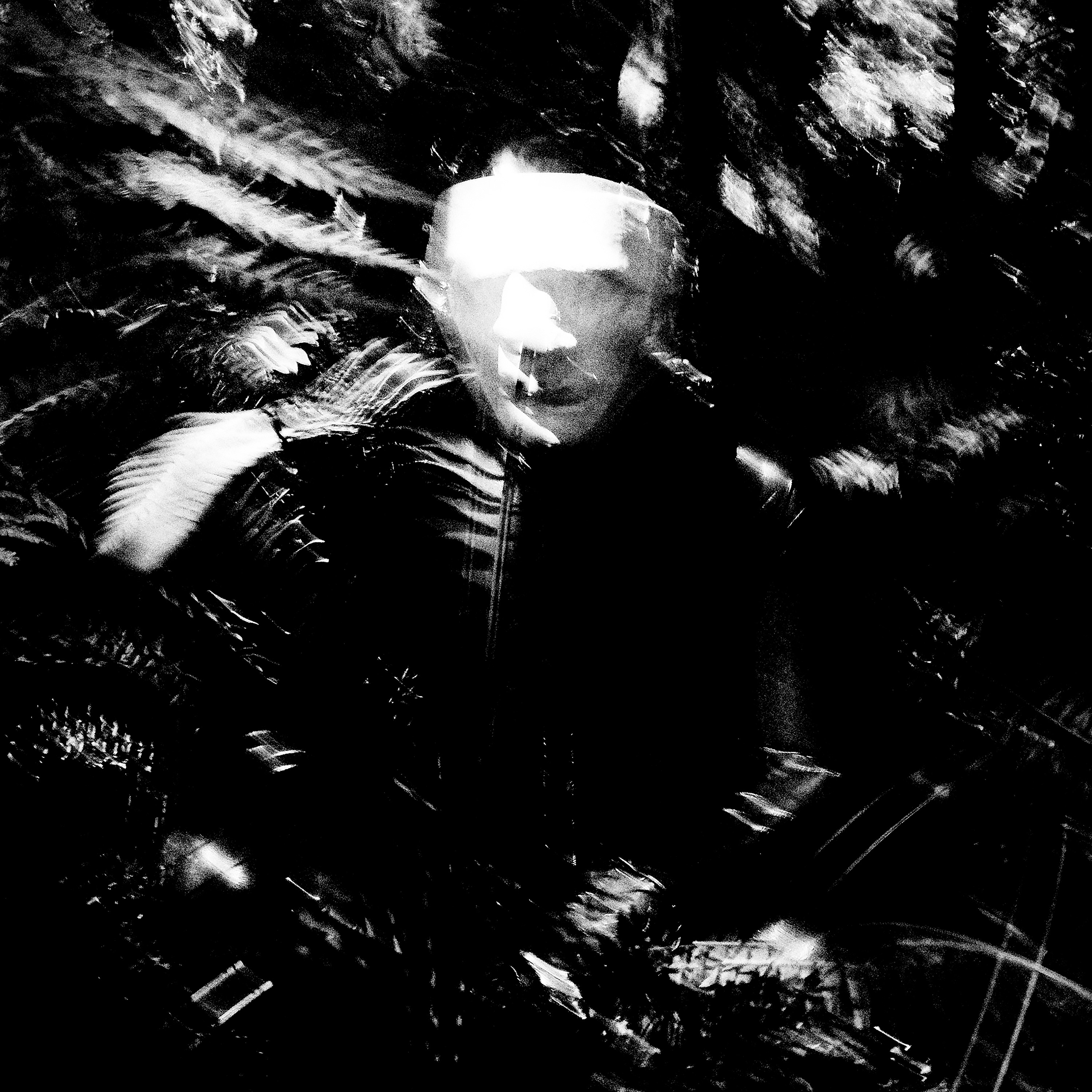 Faceless album cover