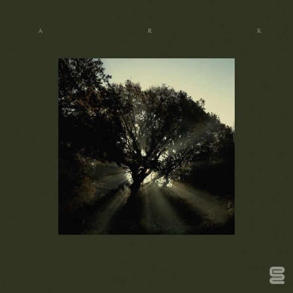 In the Morning Light - Single album cover