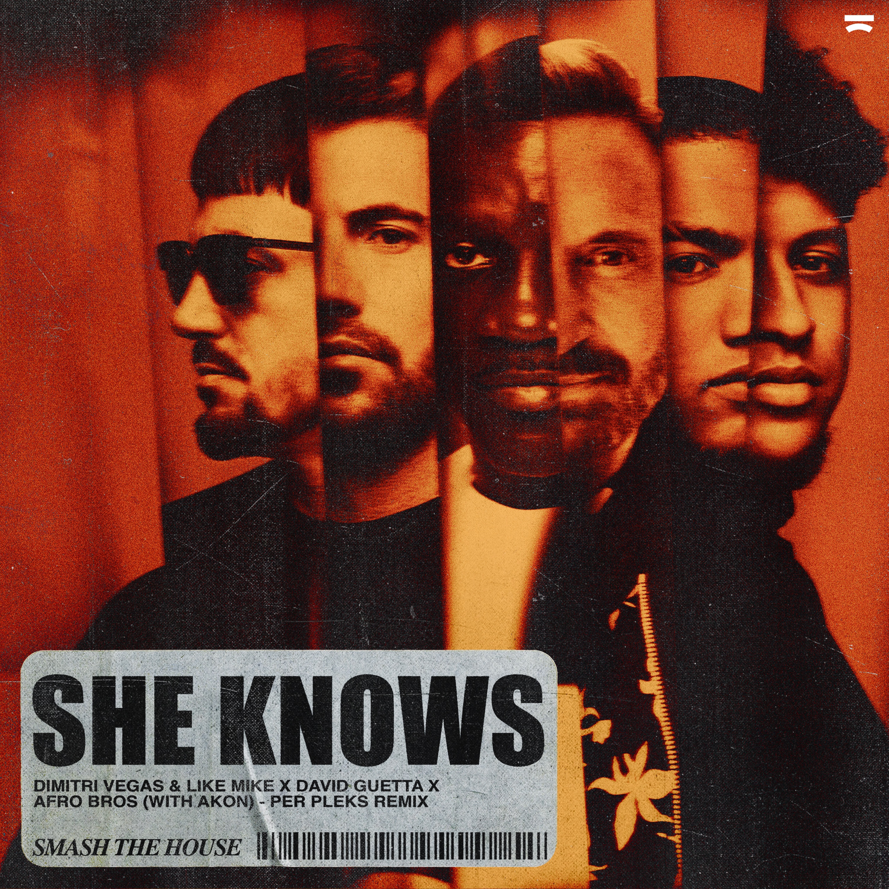 She Knows (with Akon) [Per Pleks Remix] [feat. Afro Bros] - Single album cover