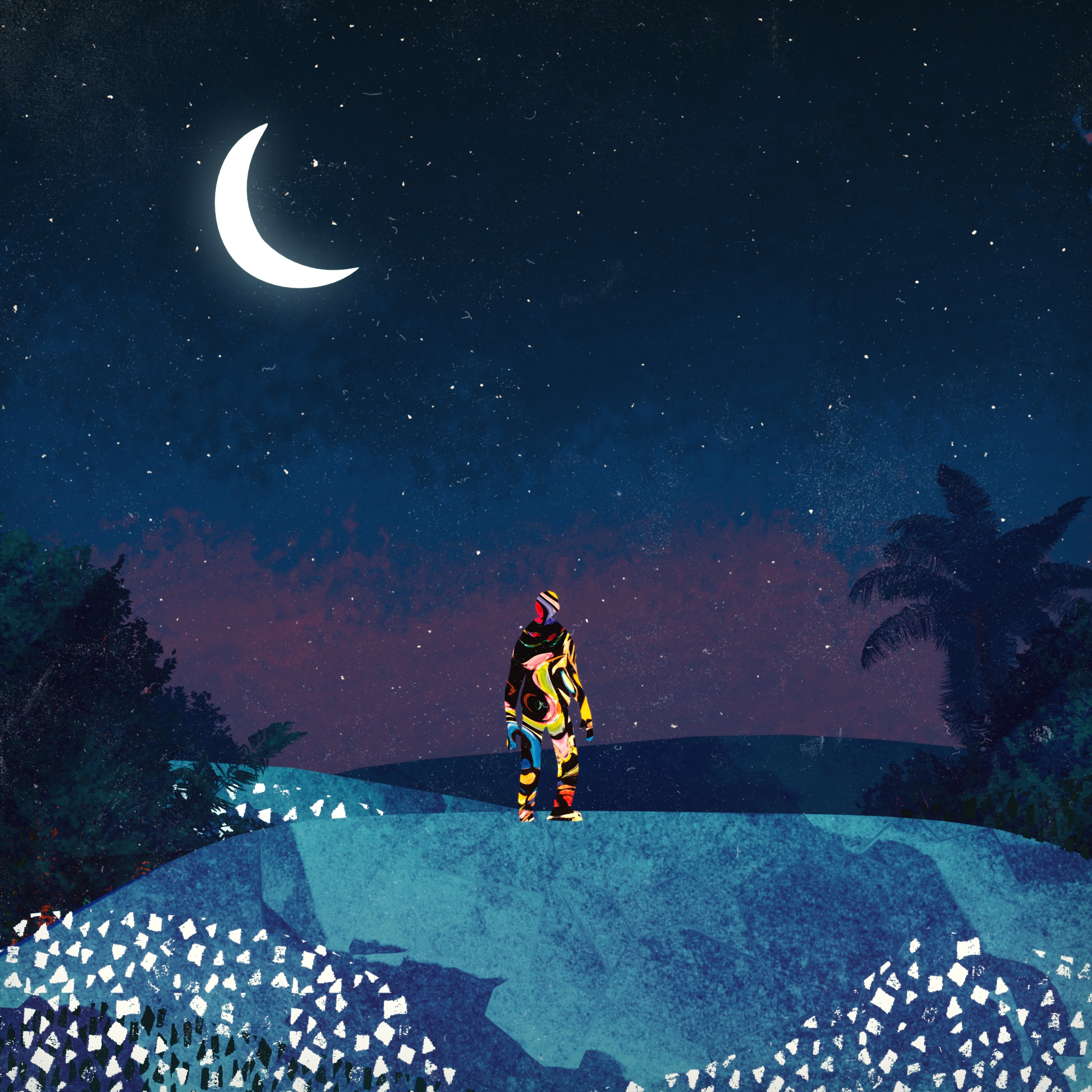 Playa Delfino - Single album cover