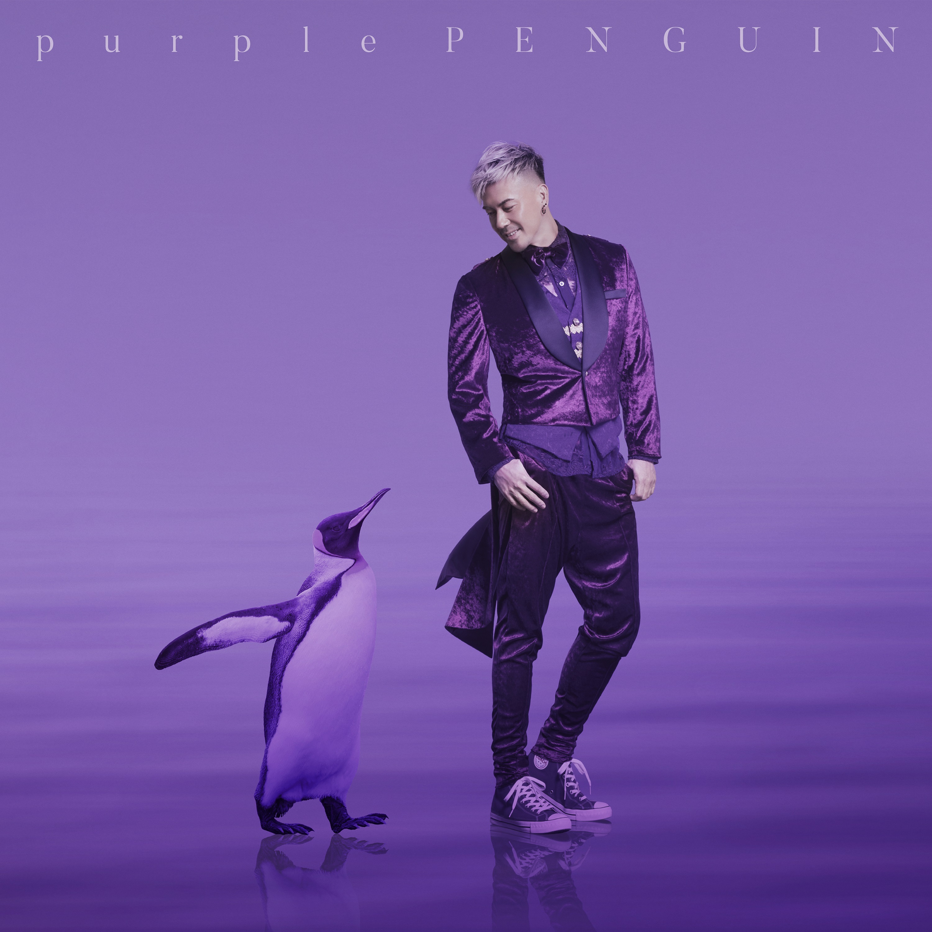 Purple Penguin album cover