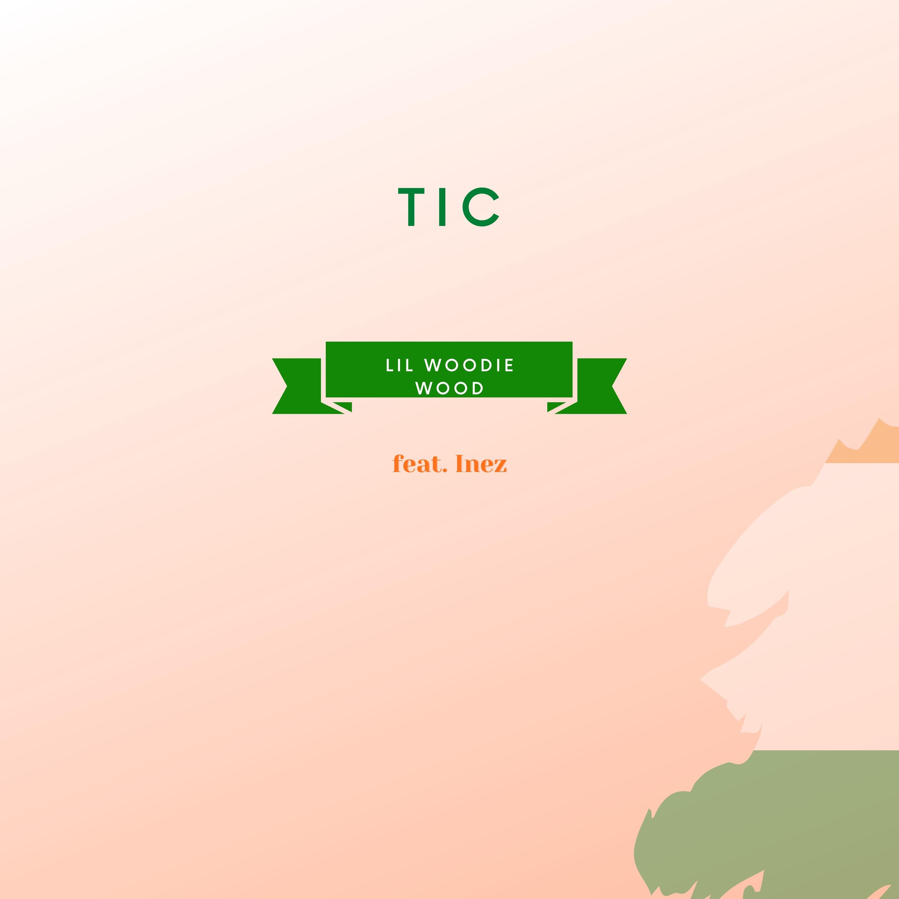 Tic (feat. Inez) - Single album cover