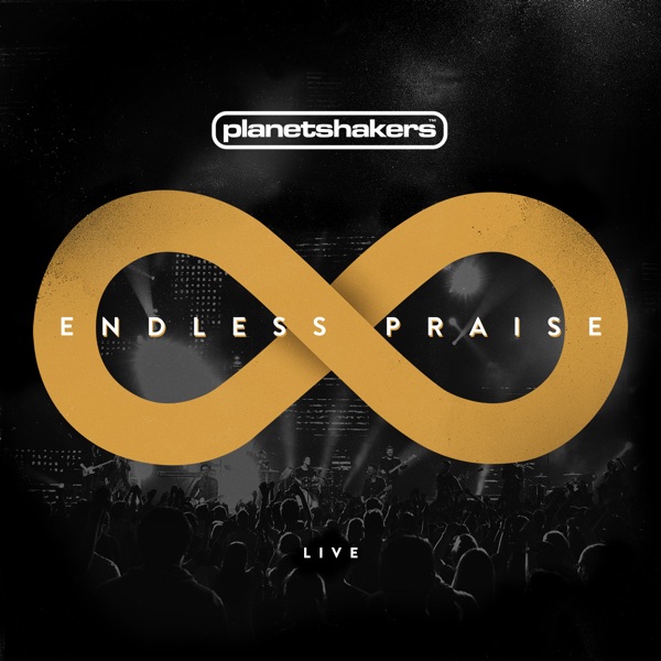 Endless Praise (Live) album cover