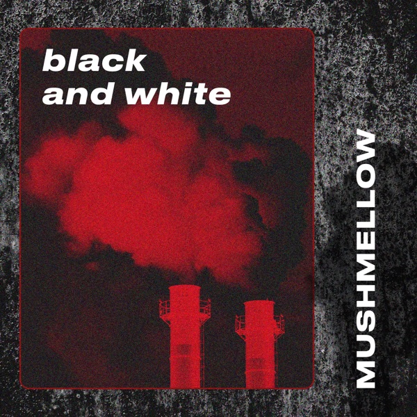 Black and White - Single album cover