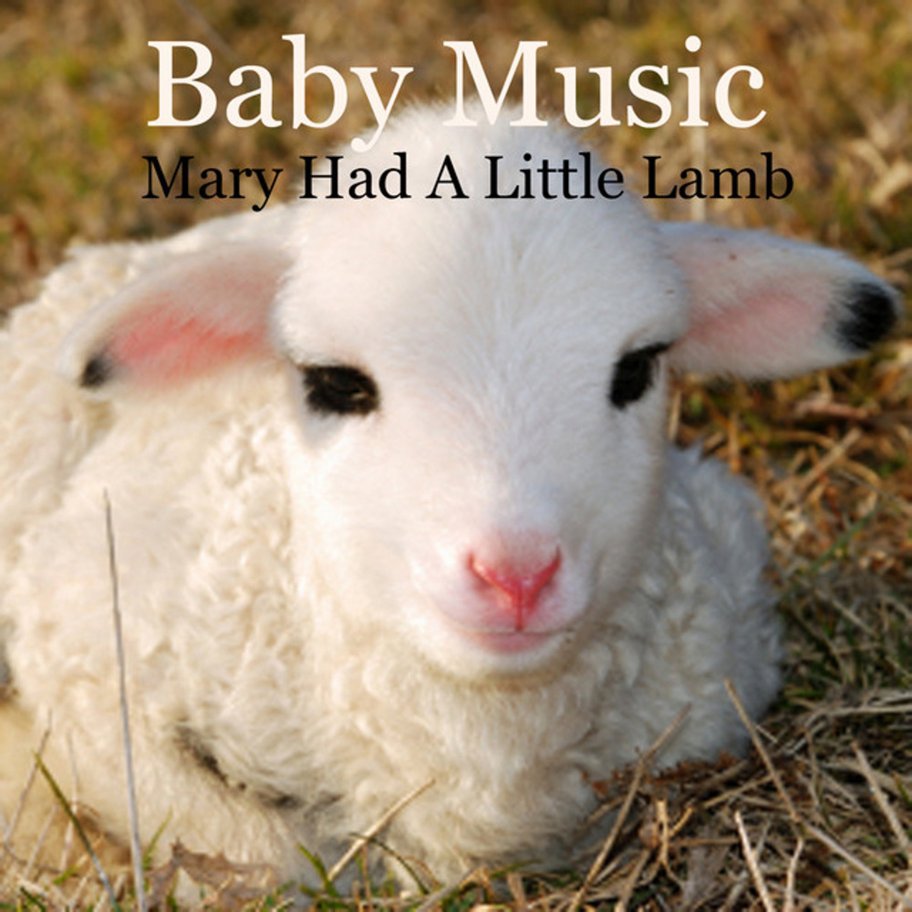 Baby Music - Mary Had a Little Lamb album cover