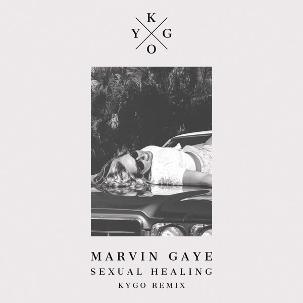 Sexual Healing - Single album cover