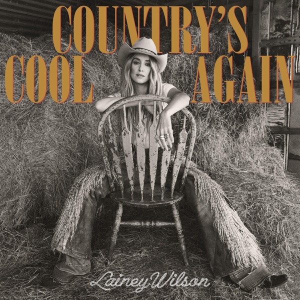 Country's Cool Again - Single album cover