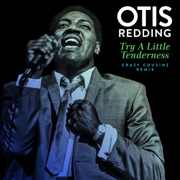 Try a Little Tenderness (Crazy Cousinz Remix) - Single album cover