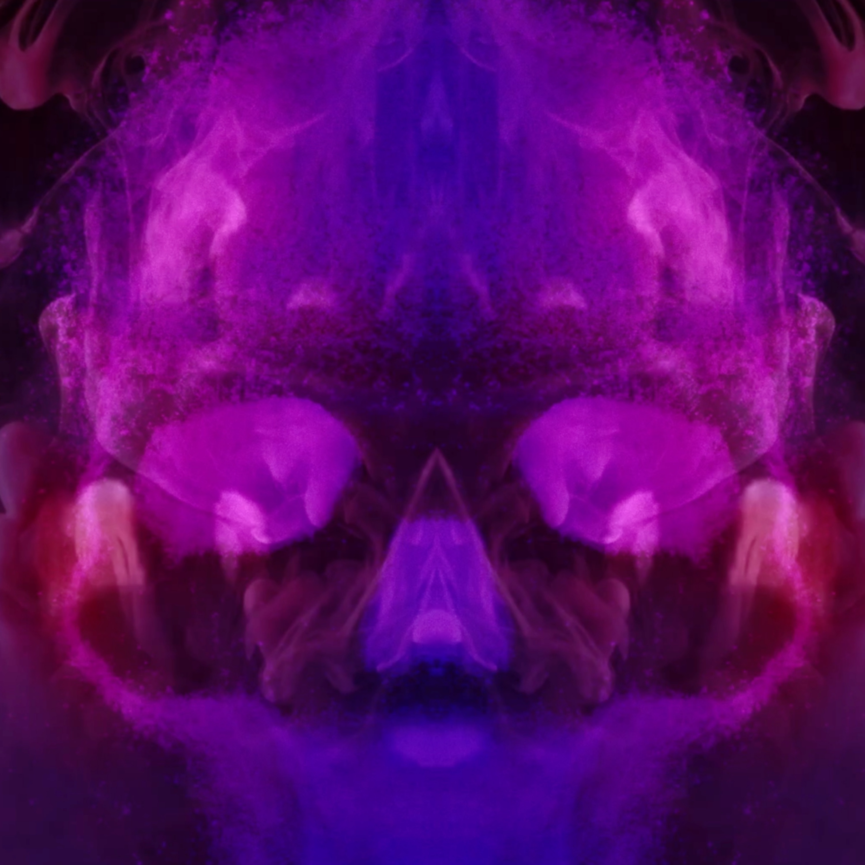 DAT PHONK - Single album cover