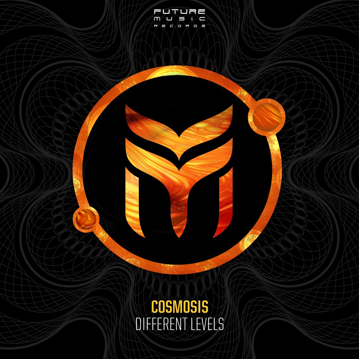 Different Levels - Single album cover