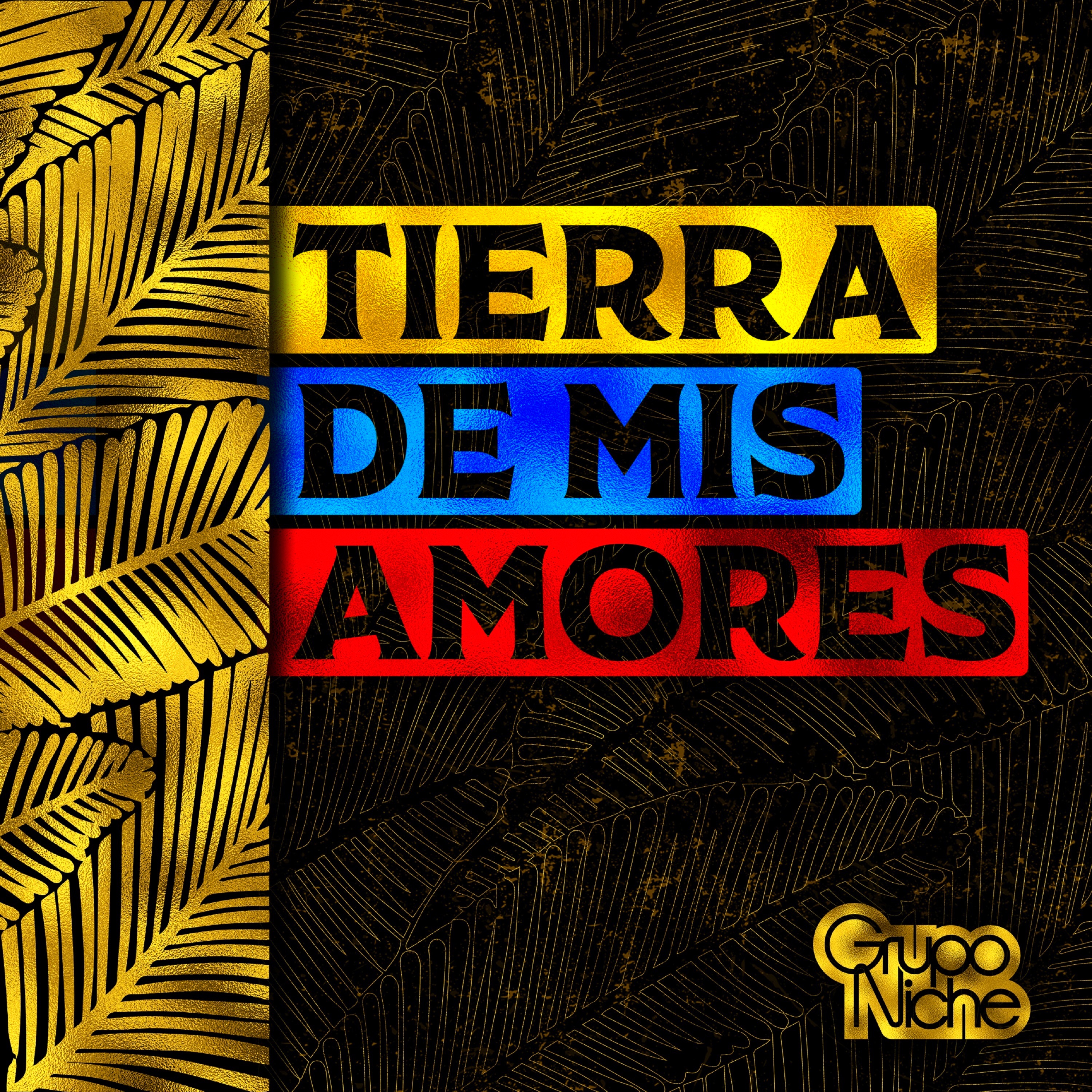 Tierra de Mis Amores - Single album cover