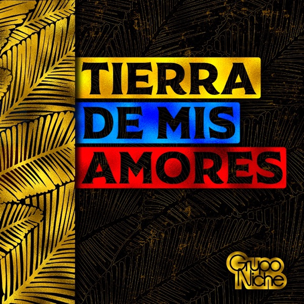 Tierra de Mis Amores - Single album cover