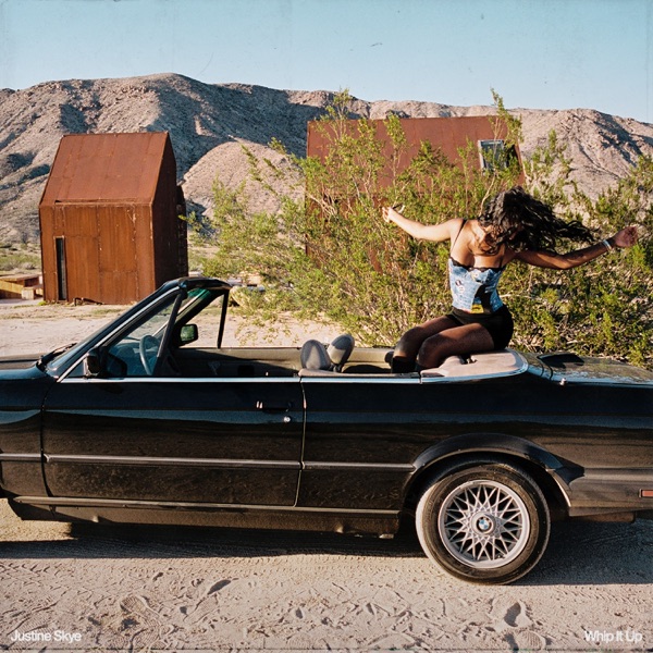 Whip It Up - Single album cover