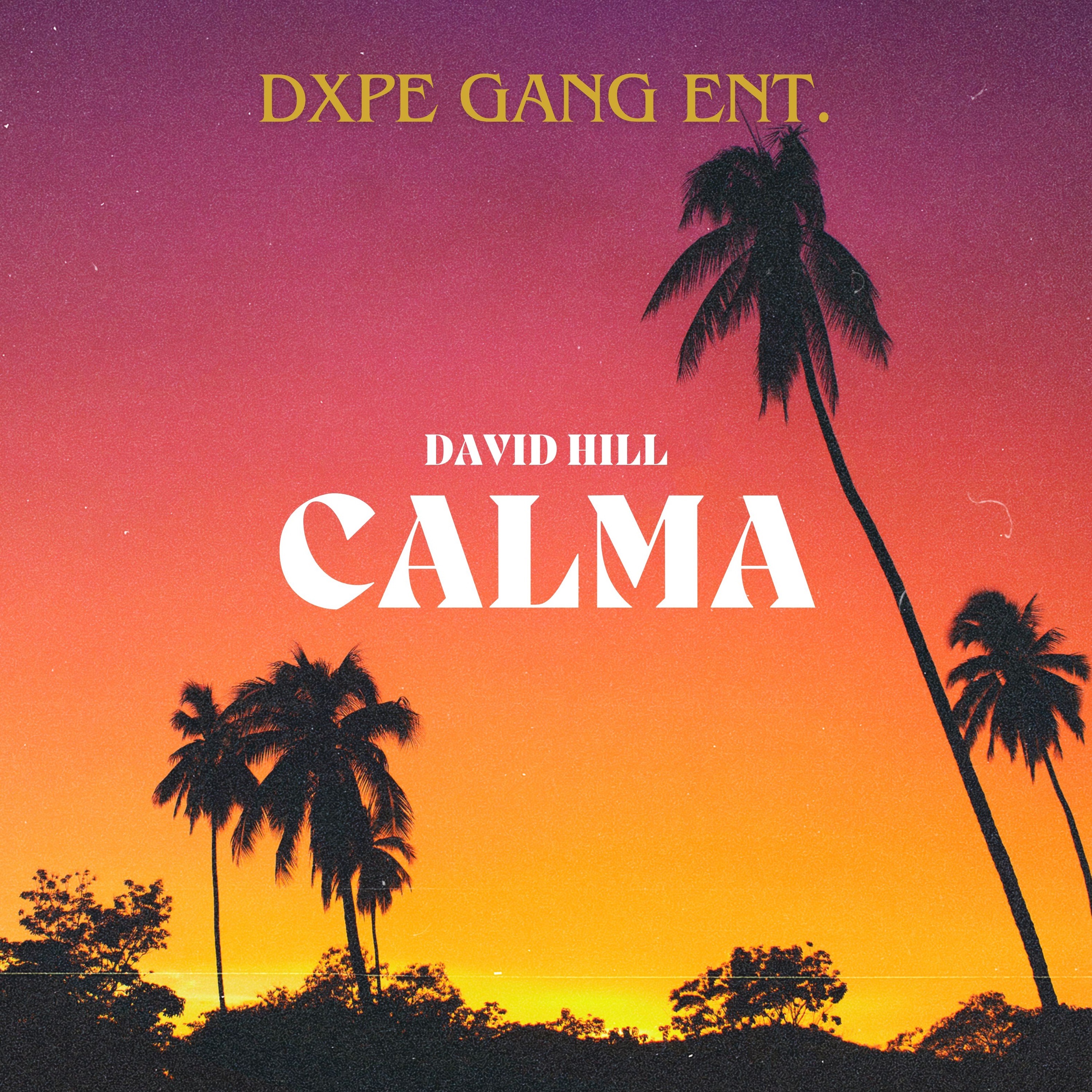 Calma - Single album cover