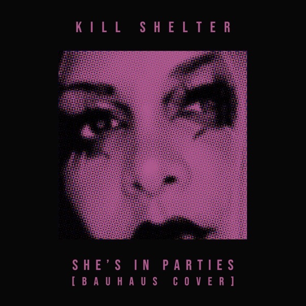 She's in Parties - Single album cover