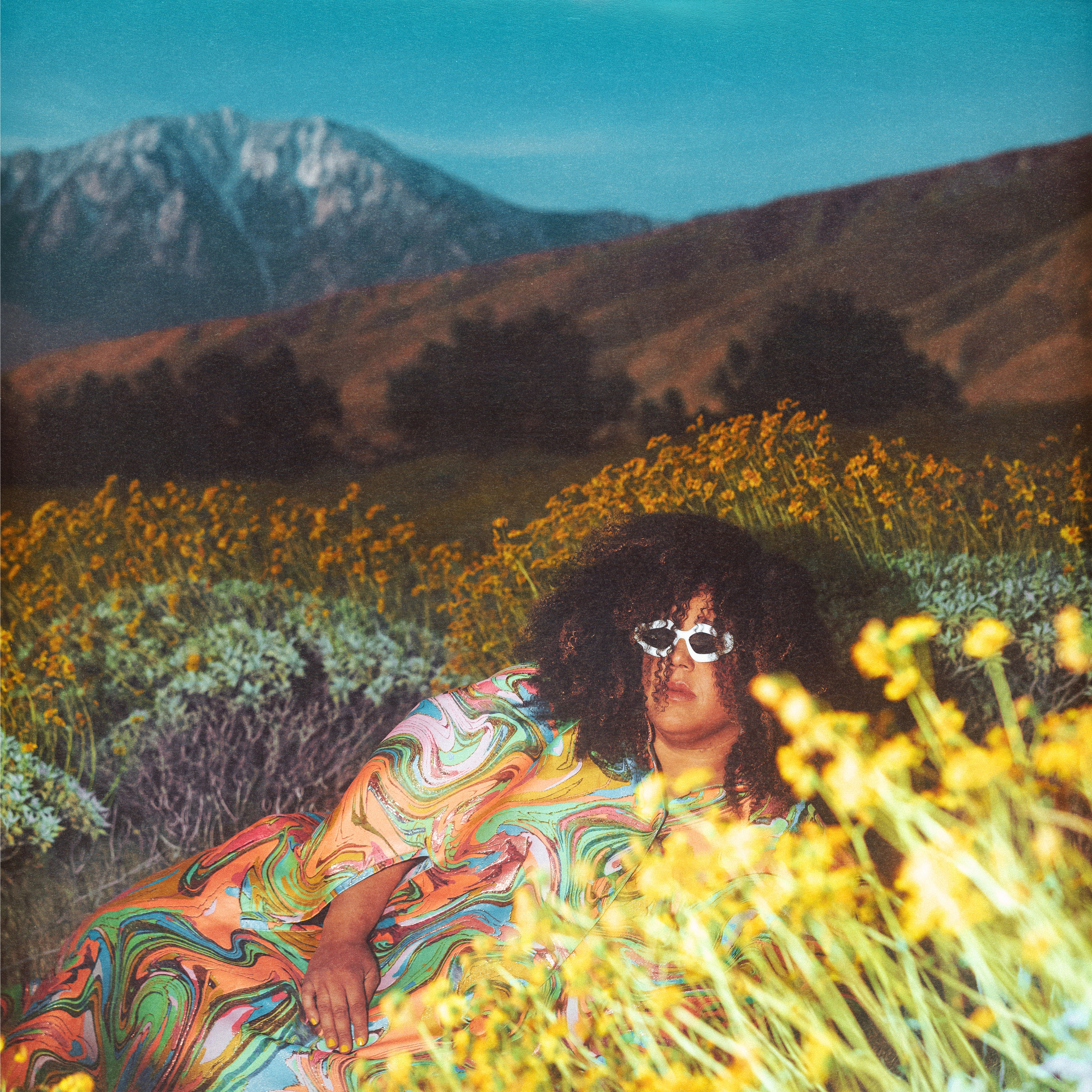 What Now album cover