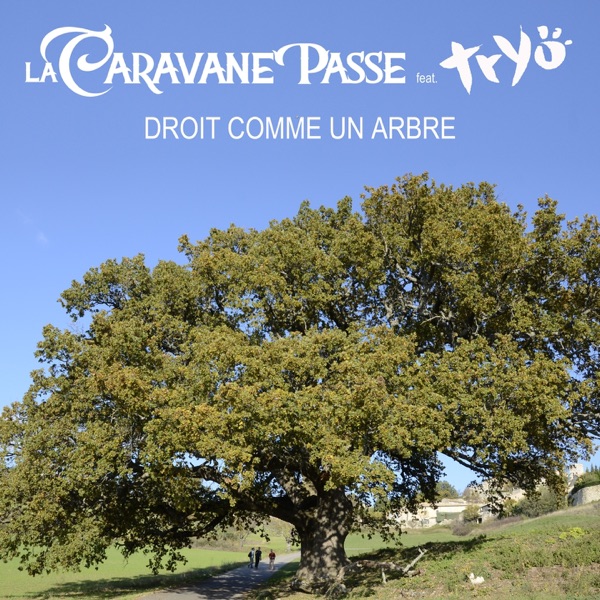 Droit comme un arbre (feat. tryo) - Single album cover