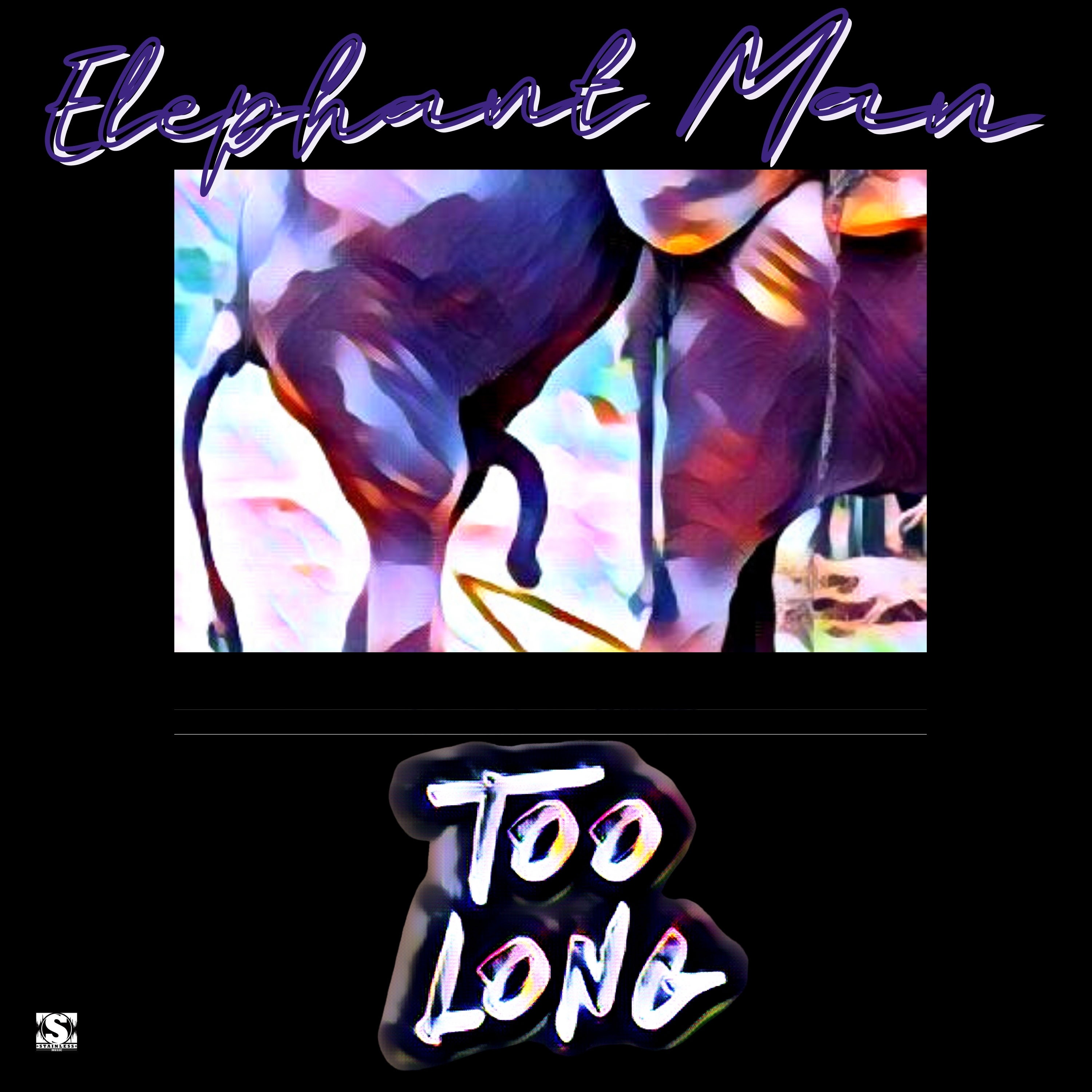 Too Long - Single album cover