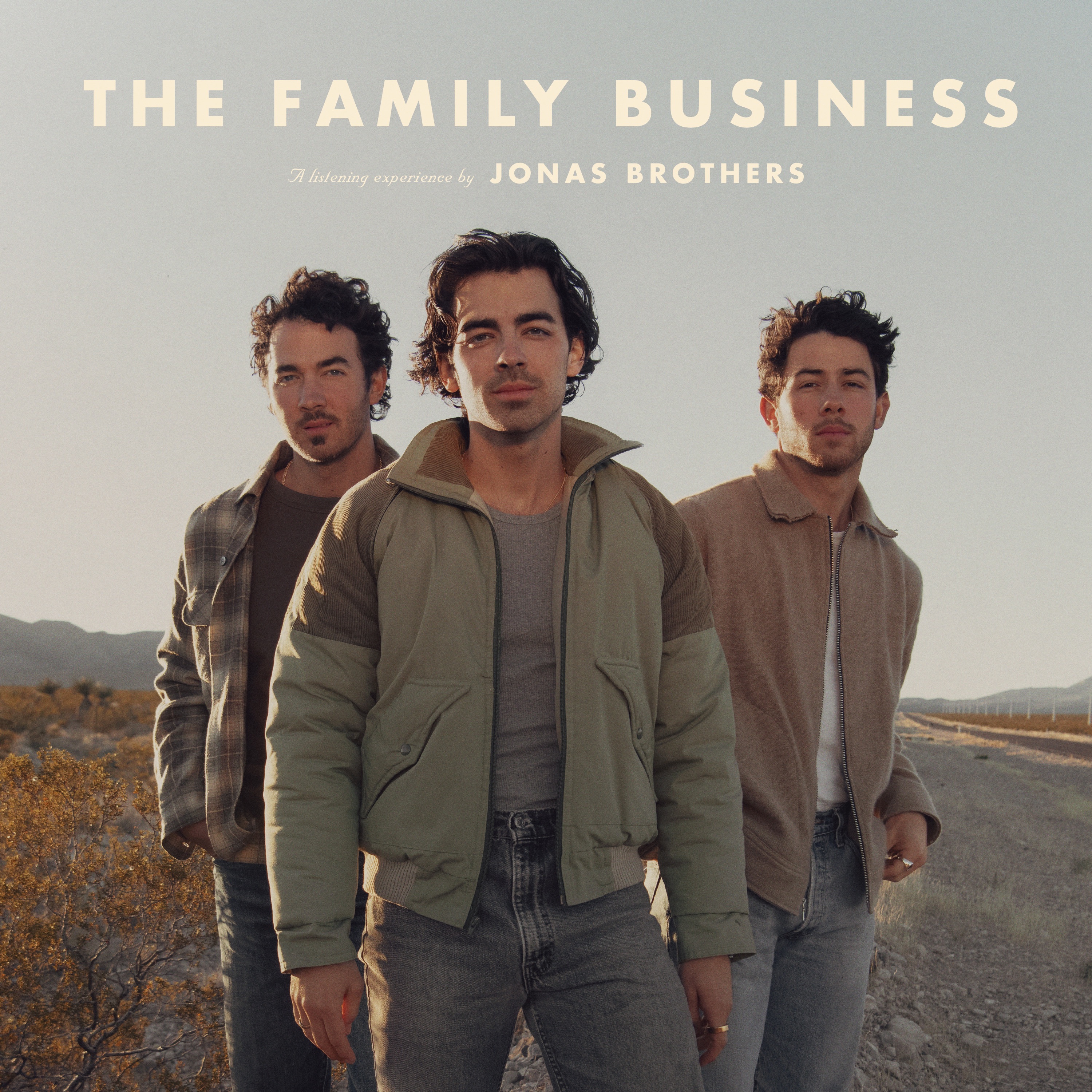 The Family Business album cover