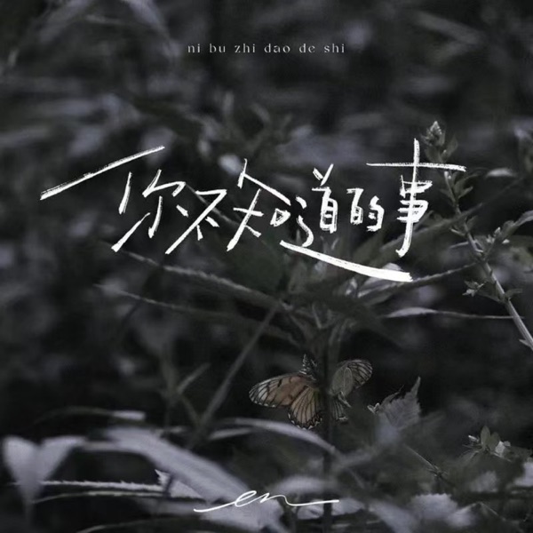 Things You Don't Know - Single album cover