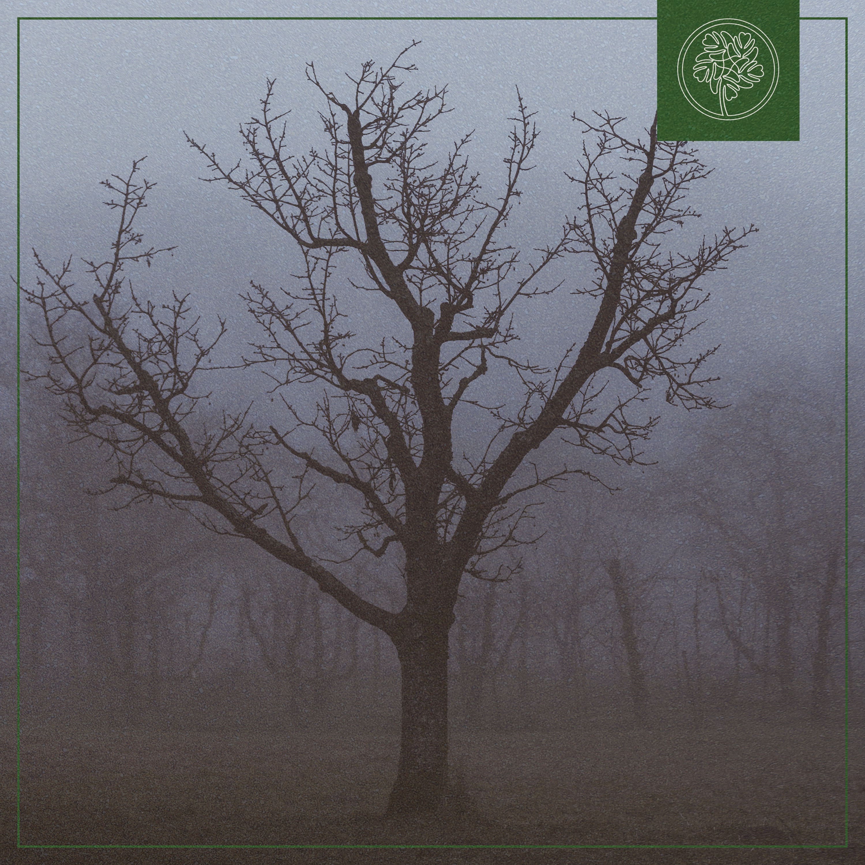 Misty Woods - Single album cover