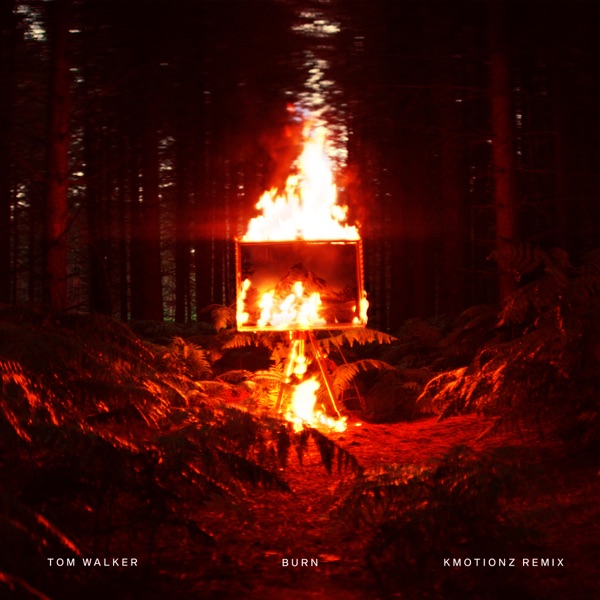 Burn (K Motionz Remix) - Single album cover